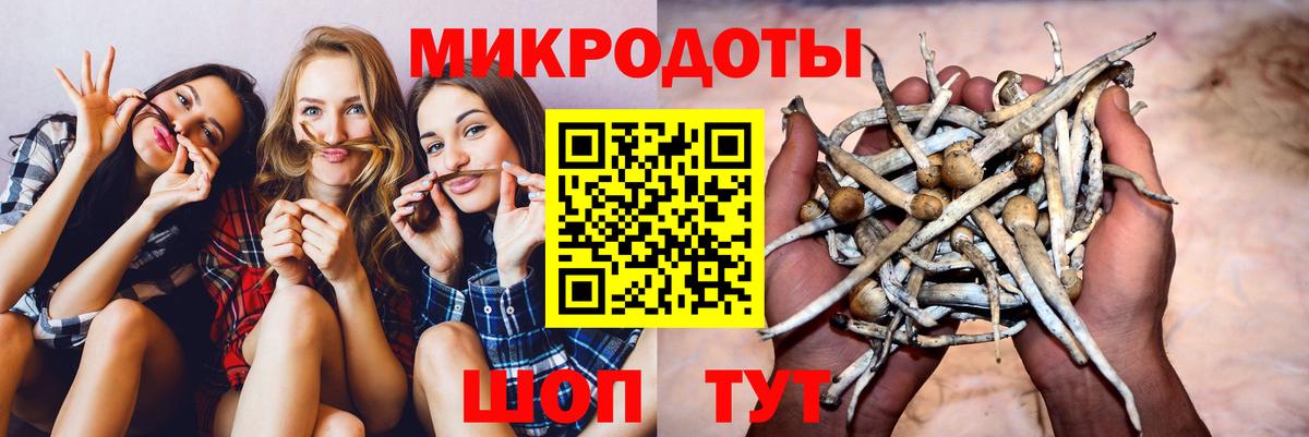 Псилоцибиновые грибы ЛСД  купить   Норильск  Вход с VPN  Галлюциногенные грибы мухоморы 