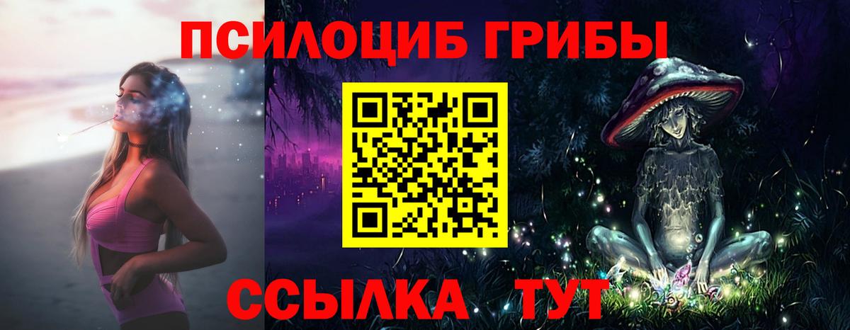 Псилоцибиновые грибы GOLDEN TEACHER Норильск
