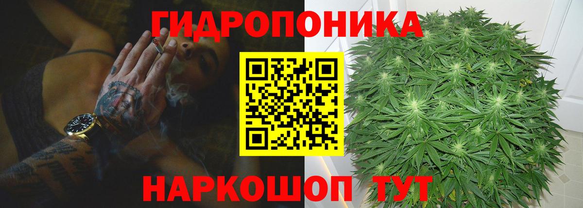 Каннабис план  Бошки Шишки VHQ  МАРИХУАНА SATIVA & INDICA  Вход с VPN  Норильск 
